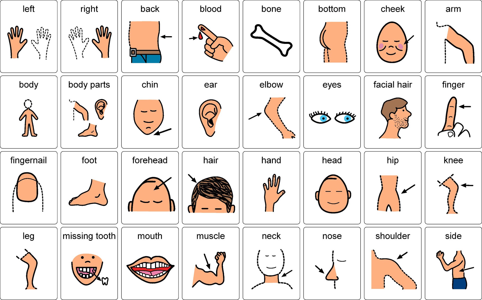 Body Parts Not Only for Young Learners or Elementary Students