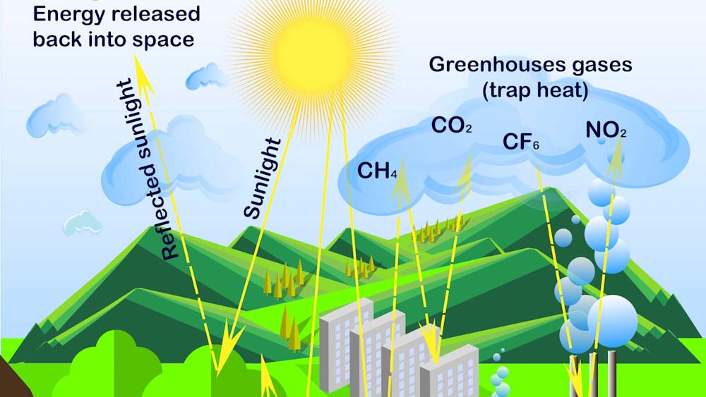 Science and the environment – Tutor Blog